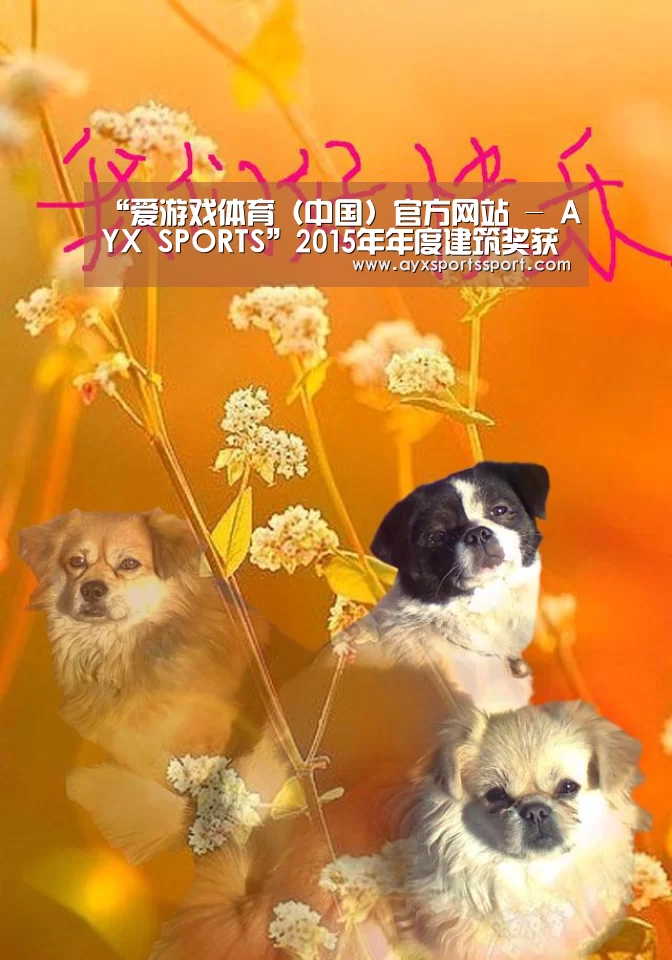 “爱游戏体育(中国)官方网站 - AYX SPORTS”2015年年度建筑奖获奖名单(图3) 爱游戏体育(中国)官方网站 - AYX SPORTS直播