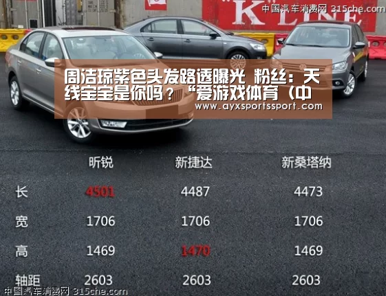 爱游戏体育（中国）官方网站 - AYX SPORTS下载
