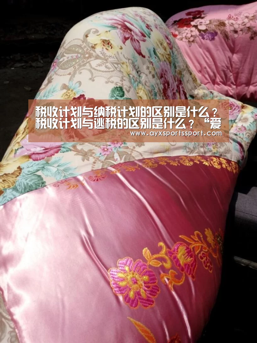税收计划与纳税计划的区别是什么?税收计划与逃税的区别是什么?“爱游戏体育(中国)官方网站 - AYX SPORTS直播”(图2) 爱游戏体育(中国)官方网站 - AYX SPORTS下载